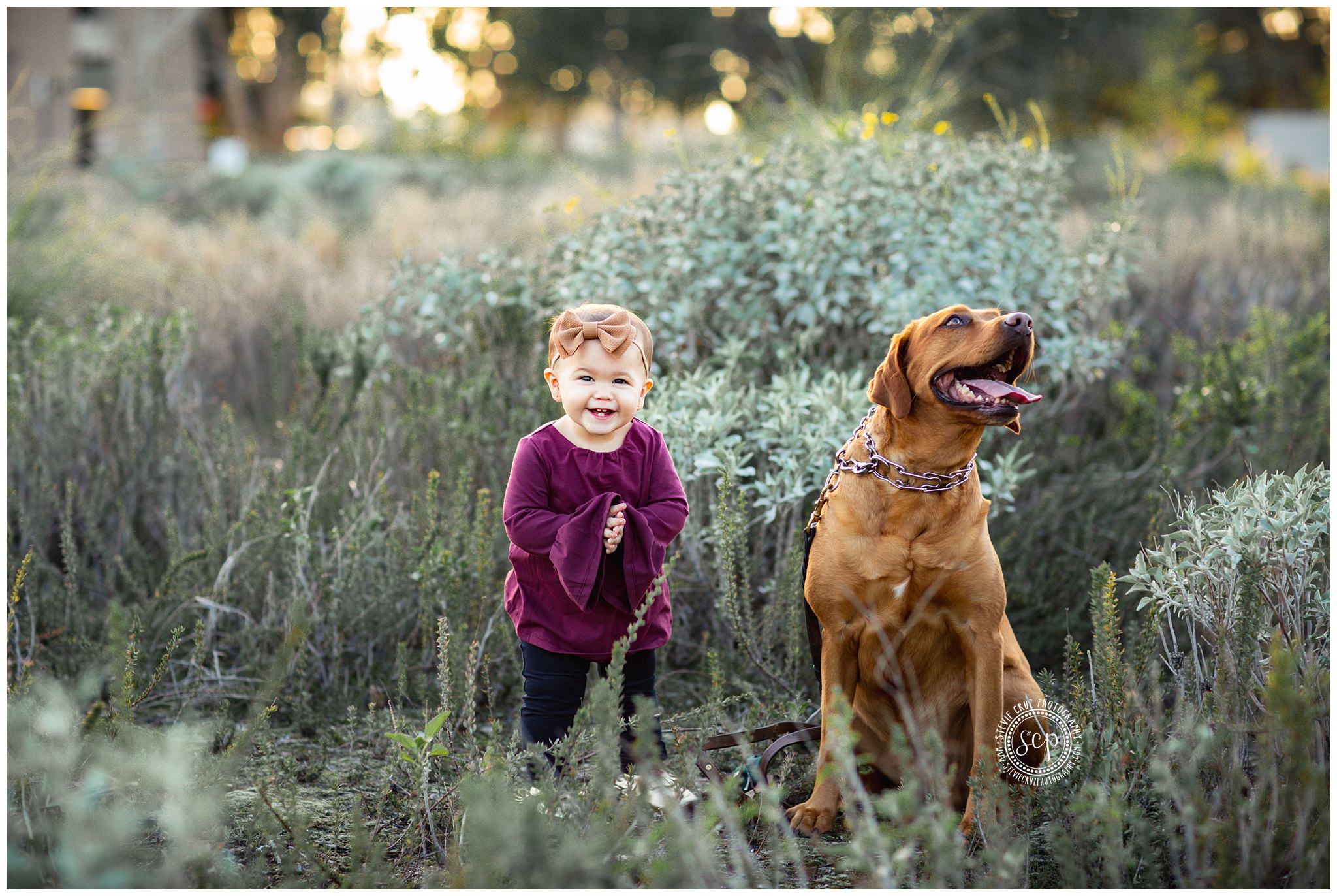 Best Local Family Photographer Orange County Family Photographer   Orange County 3694 